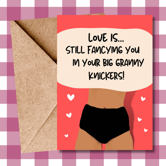 Funny Sarcastic Valentine's Gift for Girlfriend/Wife - Love Banter Granny Pants - Humorous Valentine's Day Card
