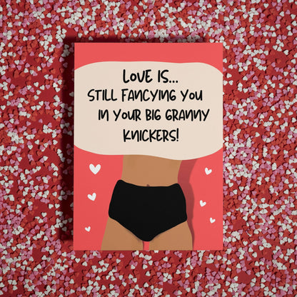 Funny Sarcastic Valentine's Gift for Girlfriend/Wife - Love Banter Granny Pants - Humorous Valentine's Day Card